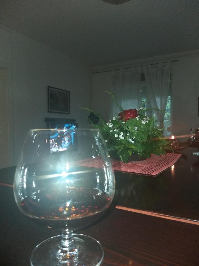 Apartman Nv Διαμέρισμα Vrnjačka Banja Εξωτερικό φωτογραφία