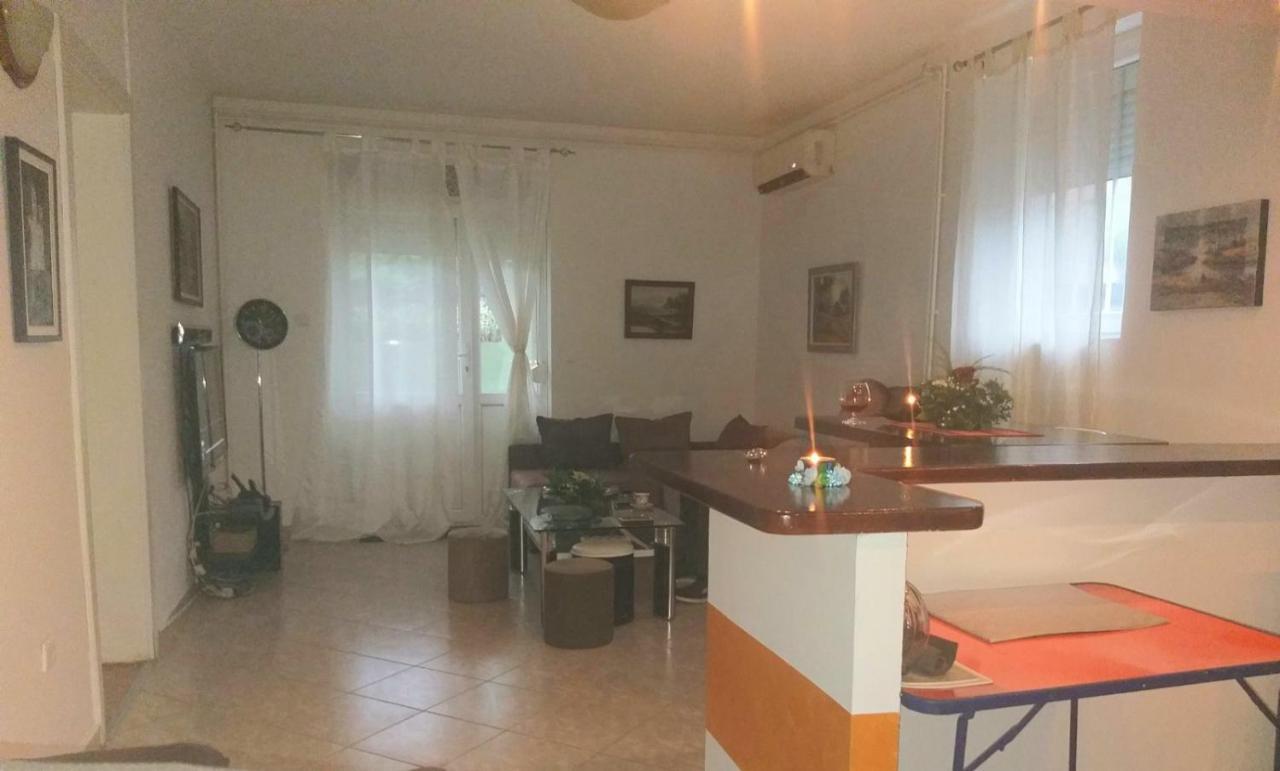 Apartman Nv Διαμέρισμα Vrnjačka Banja Εξωτερικό φωτογραφία