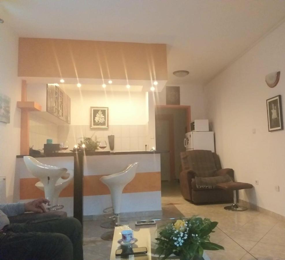 Apartman Nv Διαμέρισμα Vrnjačka Banja Εξωτερικό φωτογραφία