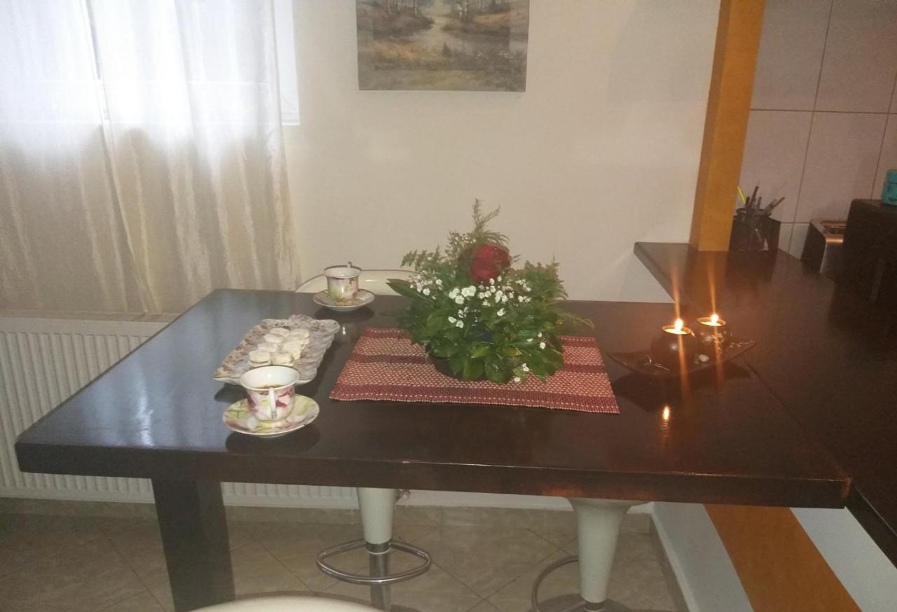 Apartman Nv Διαμέρισμα Vrnjačka Banja Εξωτερικό φωτογραφία