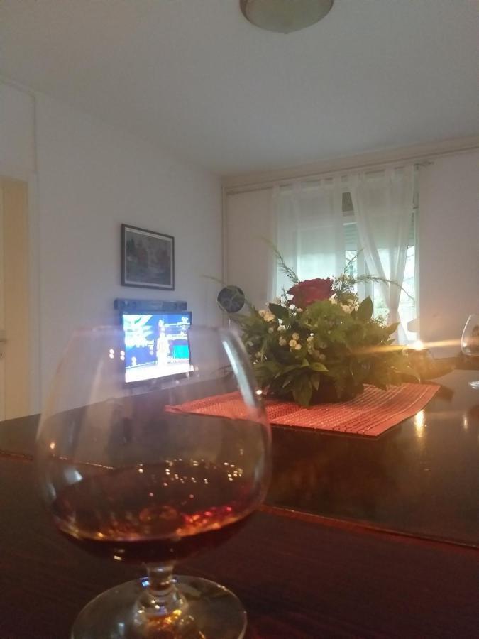 Apartman Nv Διαμέρισμα Vrnjačka Banja Εξωτερικό φωτογραφία