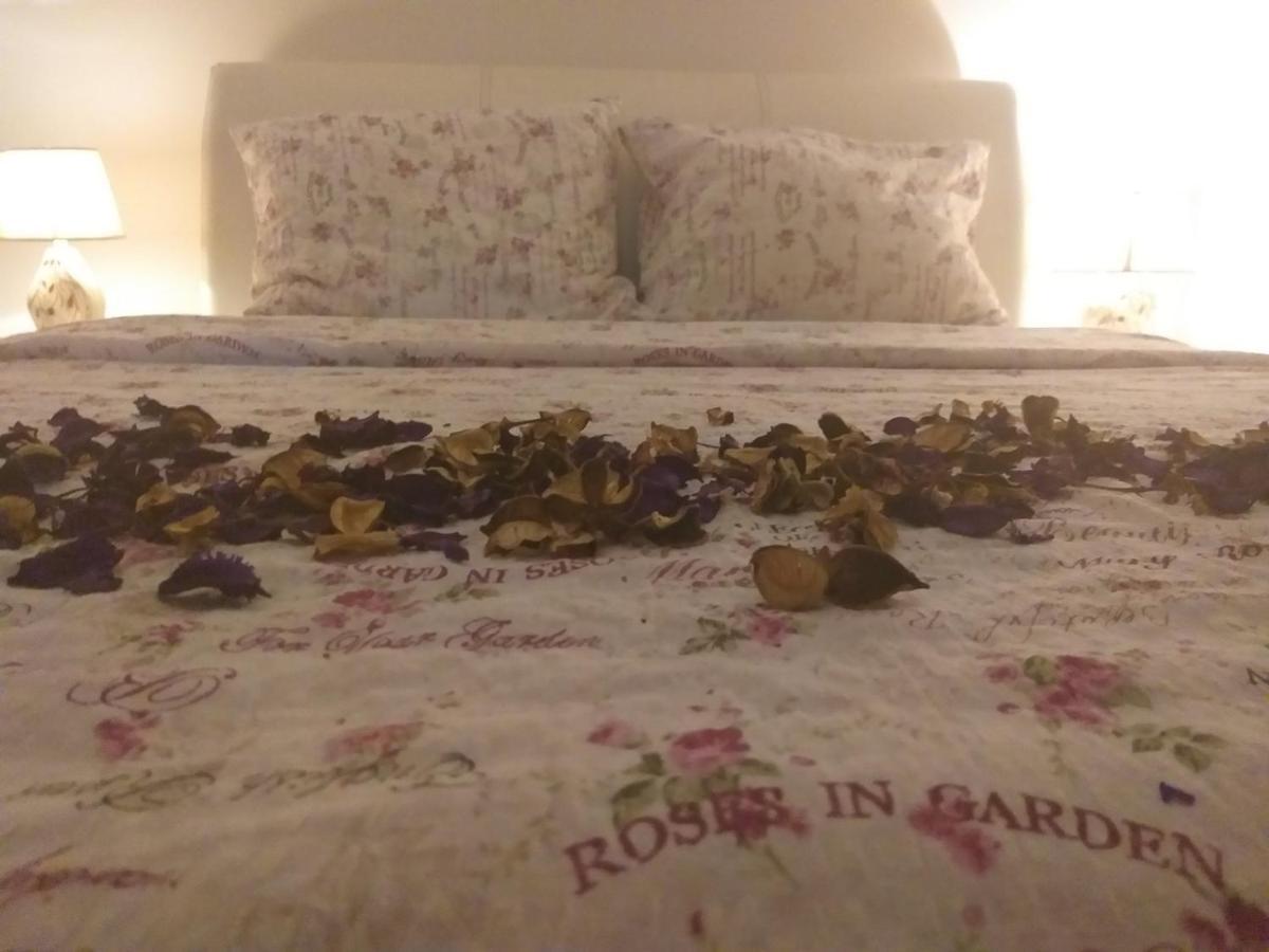 Apartman Nv Διαμέρισμα Vrnjačka Banja Εξωτερικό φωτογραφία
