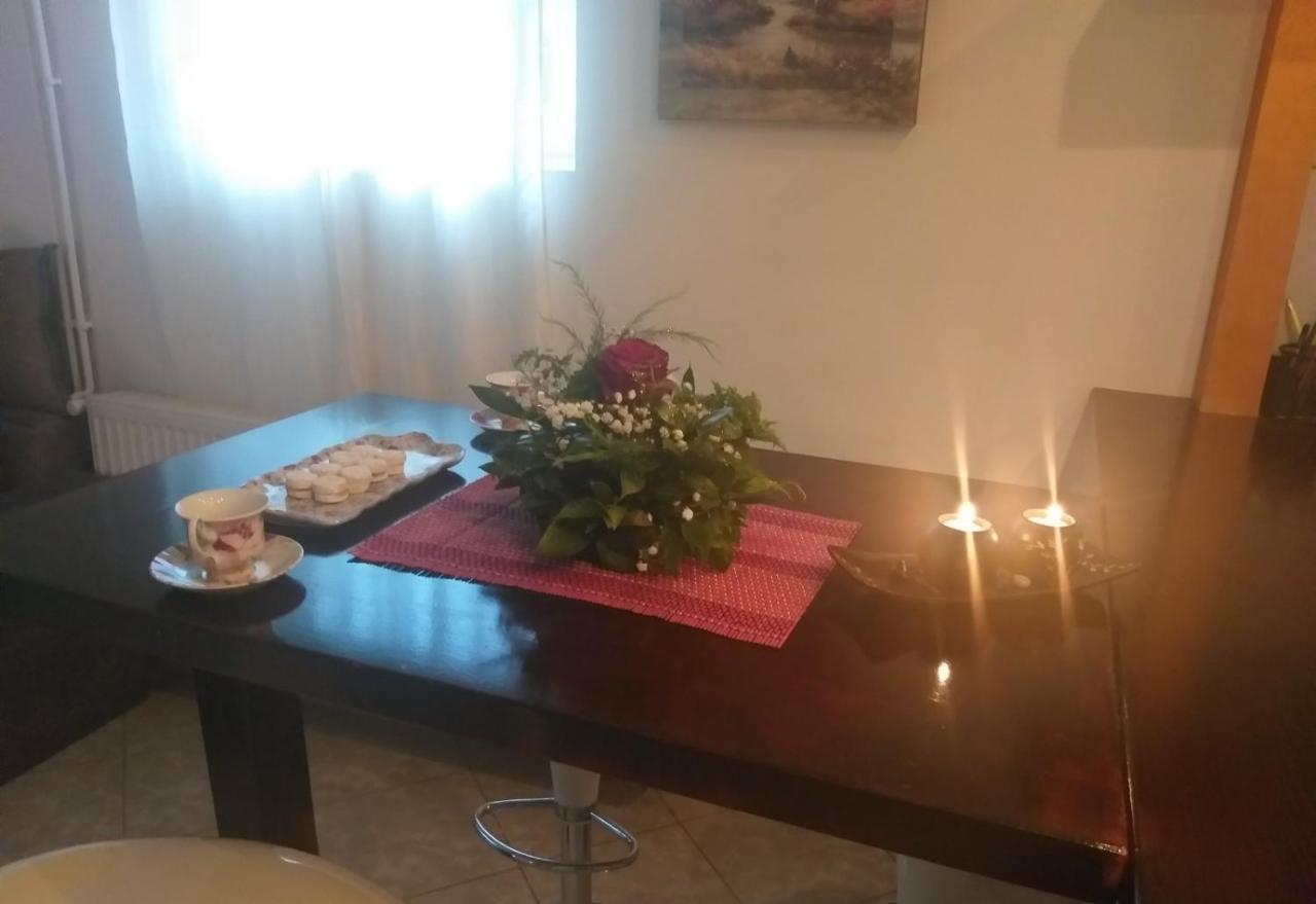 Apartman Nv Διαμέρισμα Vrnjačka Banja Εξωτερικό φωτογραφία