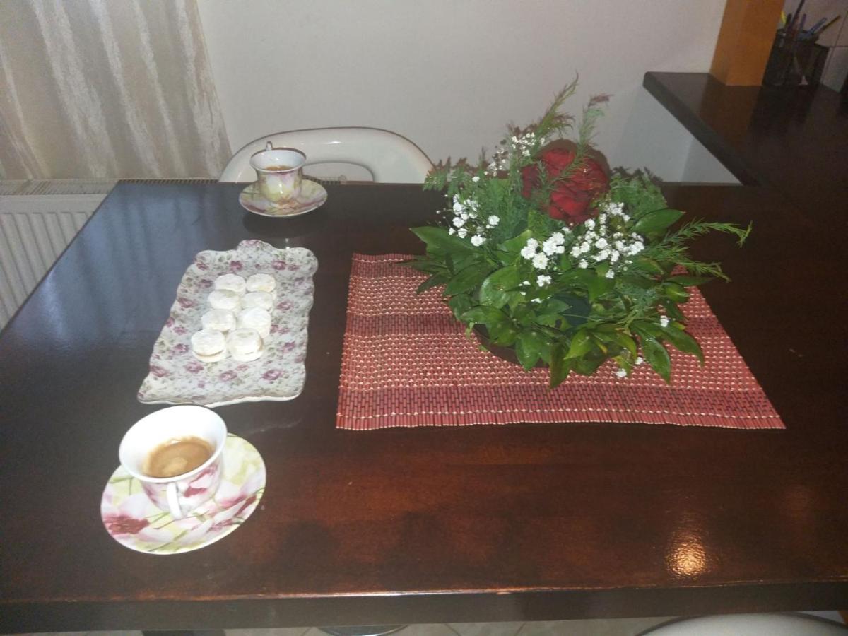 Apartman Nv Διαμέρισμα Vrnjačka Banja Εξωτερικό φωτογραφία