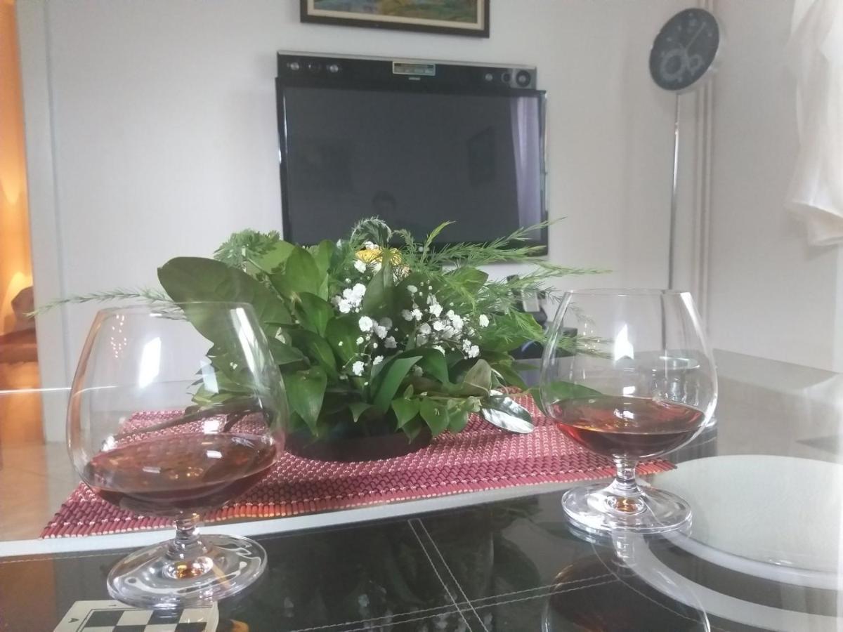 Apartman Nv Διαμέρισμα Vrnjačka Banja Εξωτερικό φωτογραφία