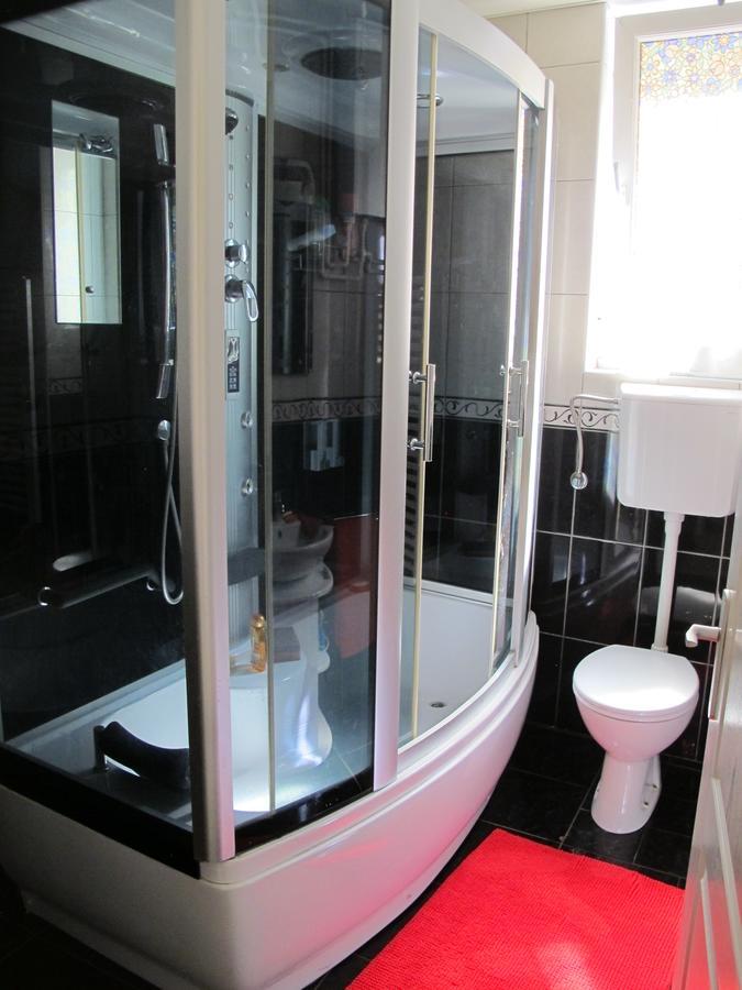 Apartman Nv Διαμέρισμα Vrnjačka Banja Εξωτερικό φωτογραφία