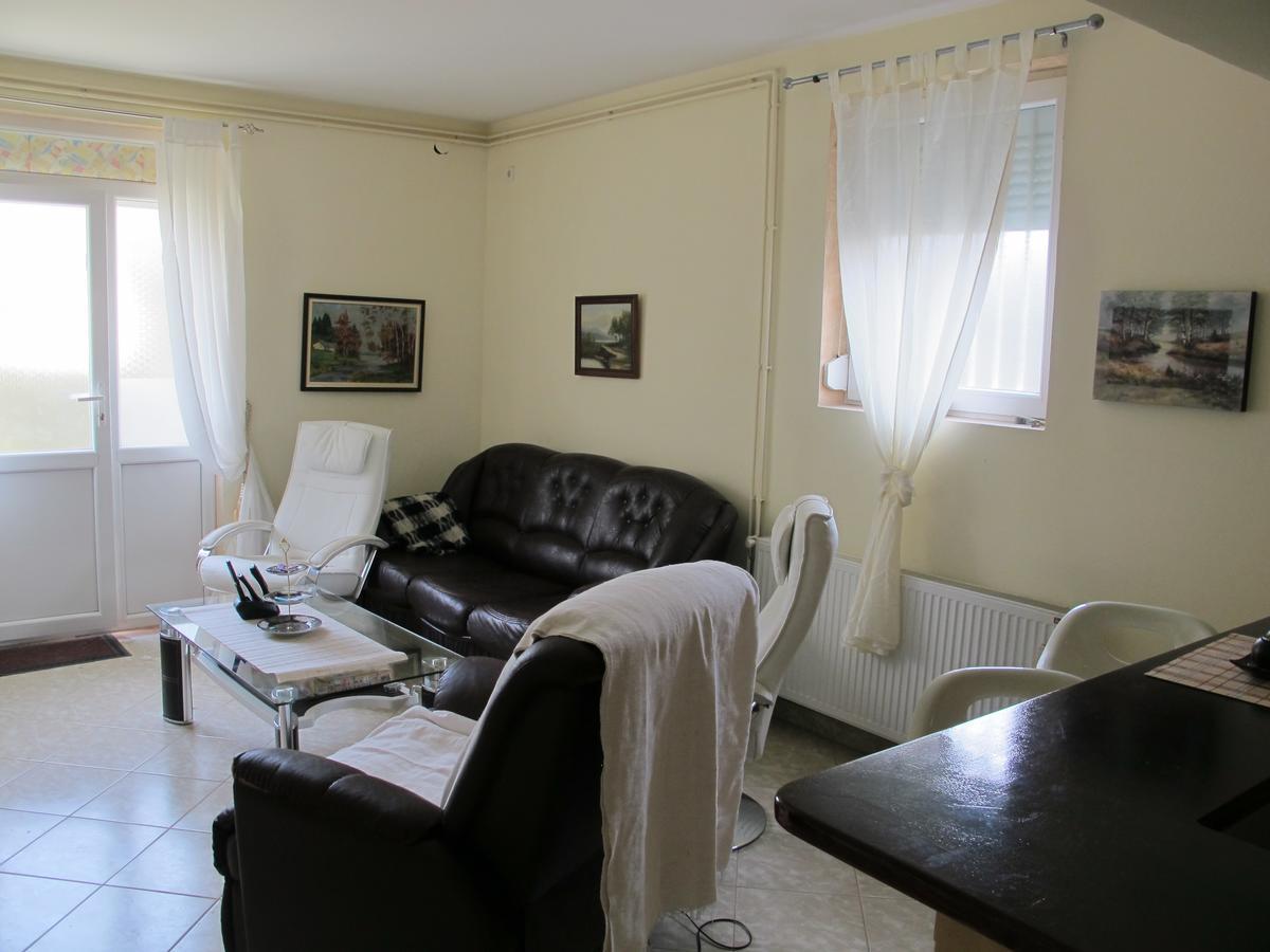 Apartman Nv Διαμέρισμα Vrnjačka Banja Εξωτερικό φωτογραφία